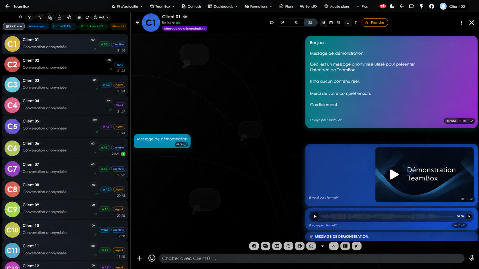 Interface Chat Automatisation entièrement anonymisée